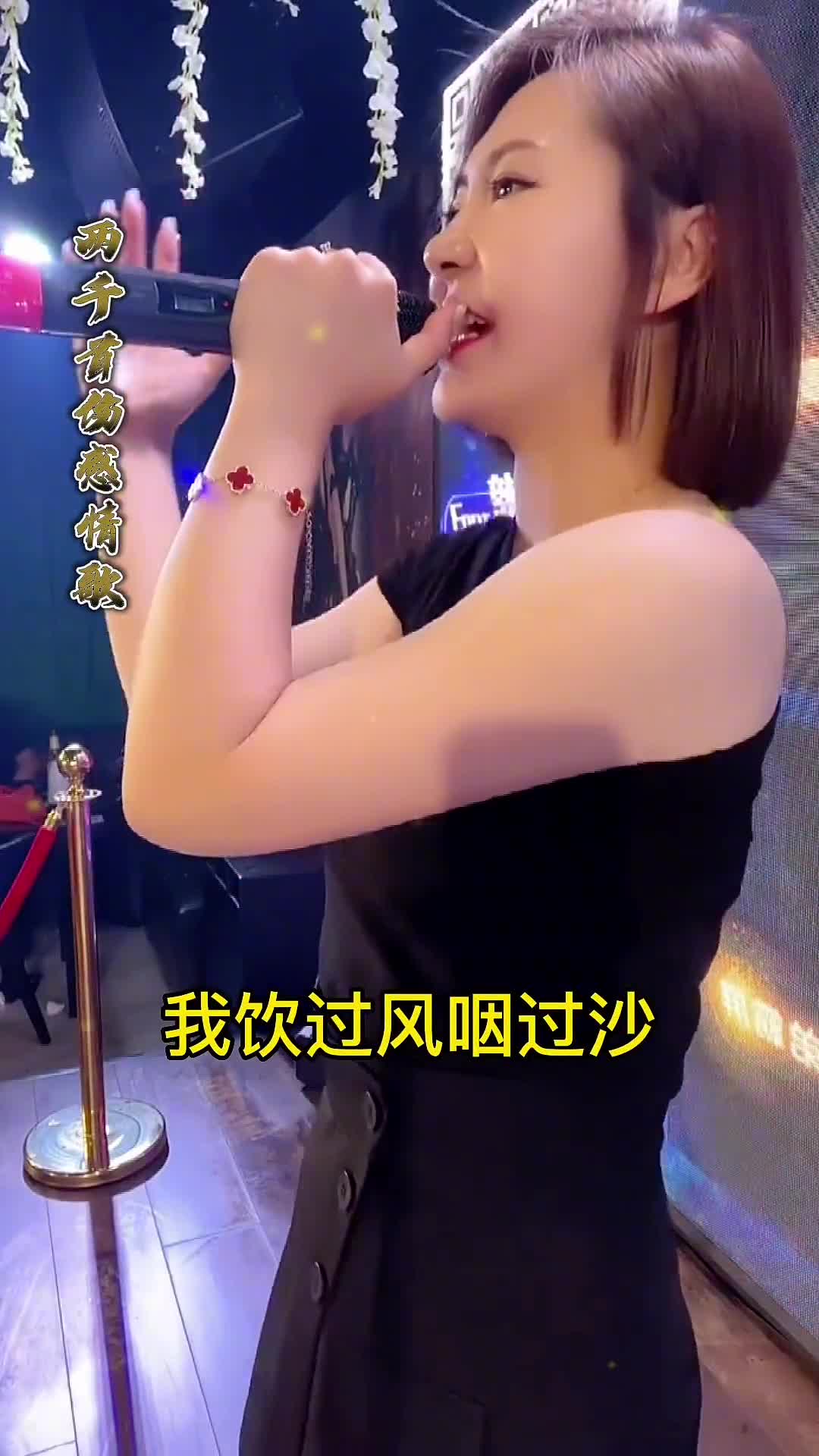 我饮过凤咽过沙,浪子无钱逛酒家,问琵琶谁人画