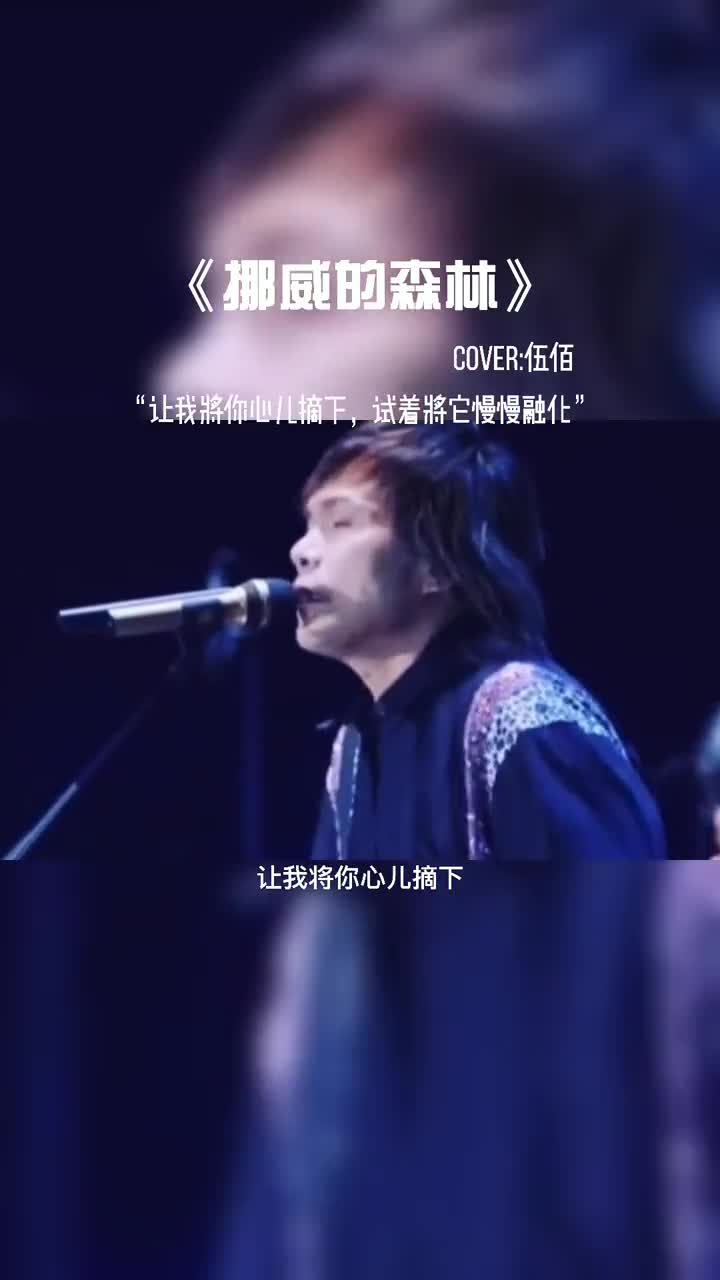 伍佰，一把吉他就能开一场演唱会的男人。#音乐现场 #演唱会 #音乐 #音乐分享 #伍佰