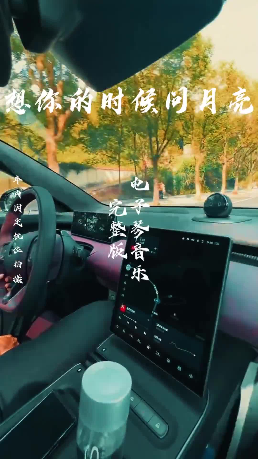 经典老歌，百听不厌 想你的时候问月亮 音乐推荐 电子琴dj 热门音乐 电子琴